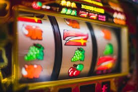 z bus casino
